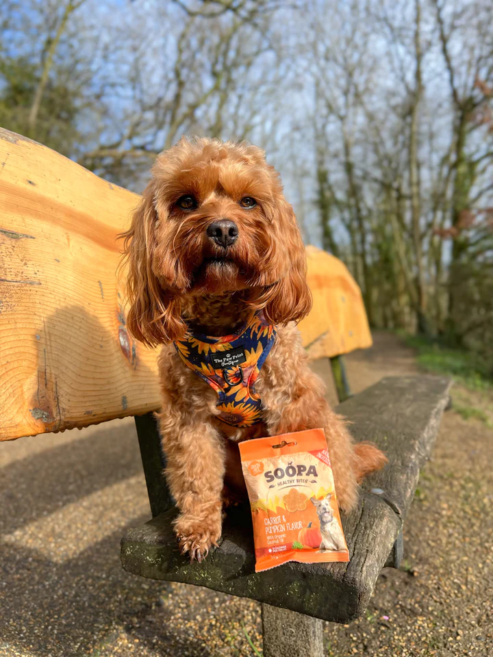 Soopa Carrot & Pumpkin Healthy Bites - 50g - Image 4