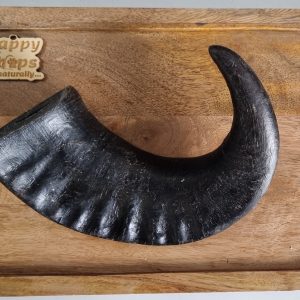 Buffalo Horn - Various Sizes