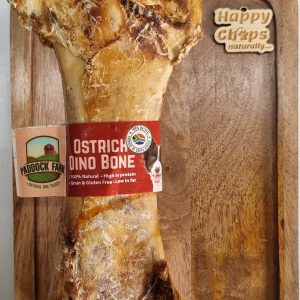 Dino Ostrich Bone