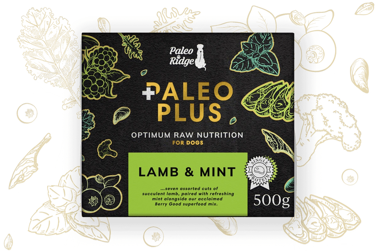 Paleo Ridge Plus Lamb & Mint - 500g
