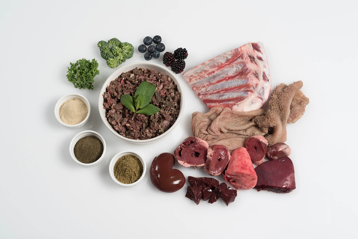 Paleo Ridge Plus Lamb & Mint - 500g - Image 2