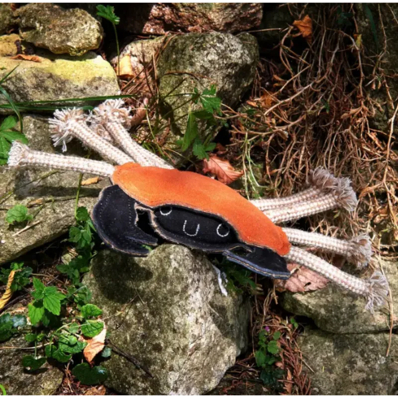 Green & Wilds Carlos The Crab! Eco Toy - Image 3