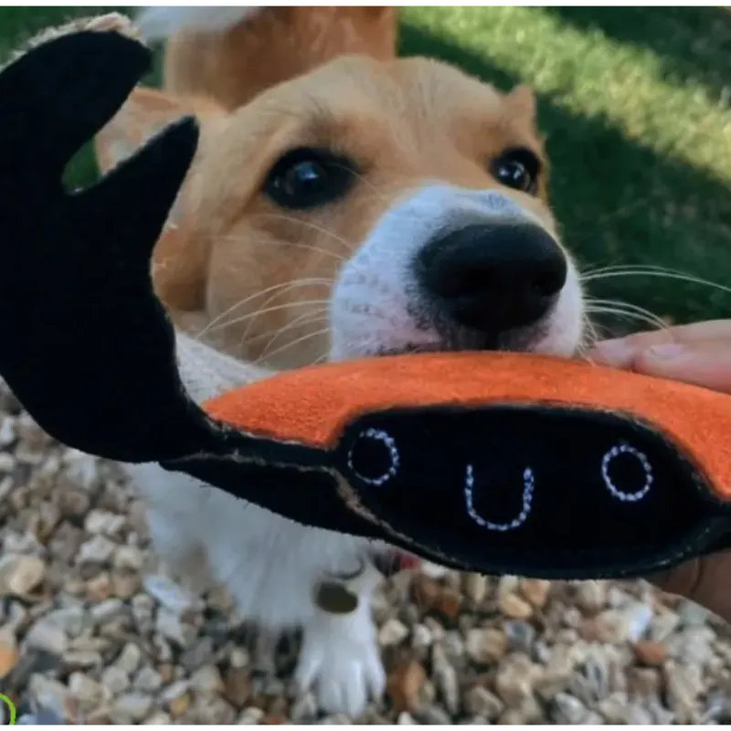 Green & Wilds Carlos The Crab! Eco Toy - Image 5