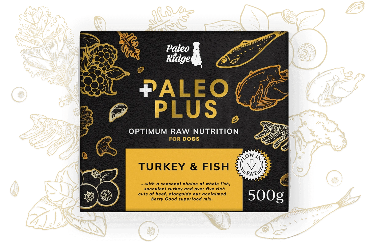 Paleo Ridge Plus Turkey & Fish - 500g