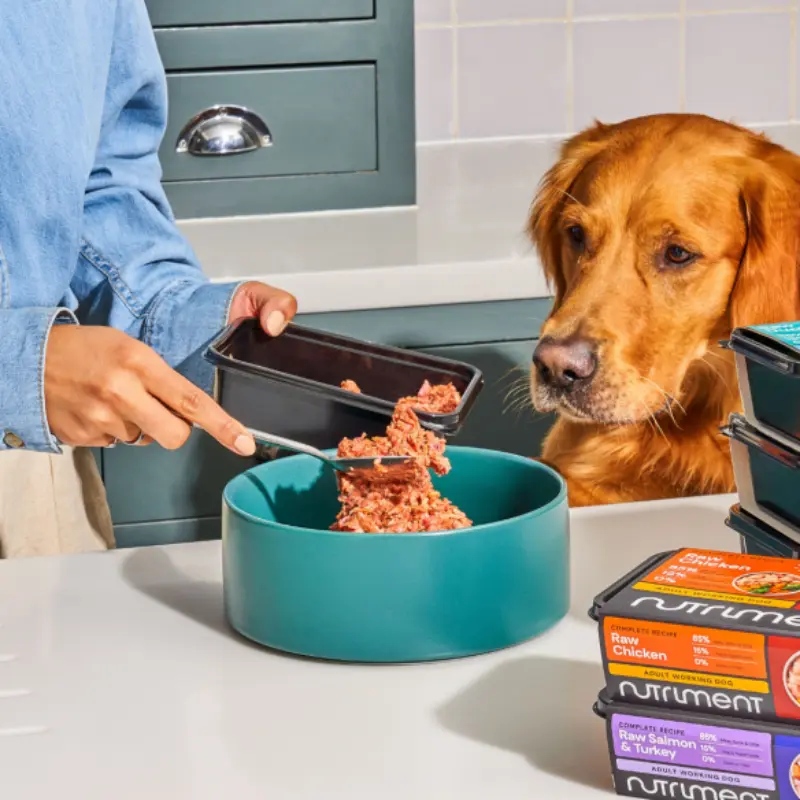 Nutriment Chicken Formula - Image 5