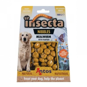 Antos Insecta Nibbles – Mealworm with Pumpkin - 100g