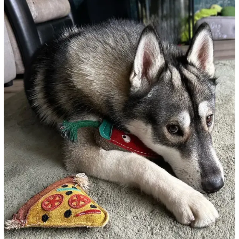 Green & Wilds Pepe le Pizza Eco Toy - Image 6