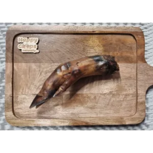 Wild Boar Foot - Hairless