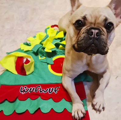 Wuf Wuf Xmas Tree Interactive Snuffle Mat Toy - Image 3