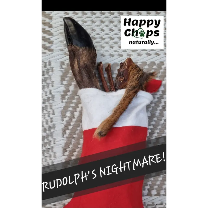 Rudolph's Nightmare!