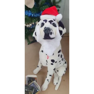 Santa Hat & Beard Festive Costume