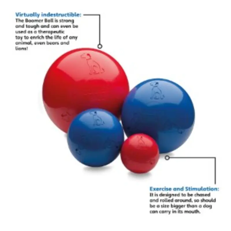Boomer Ball - Various Sizes & Colours - Image 3