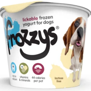 Frozzys Frozen Ice Yoghurt - Original Vanilla x4