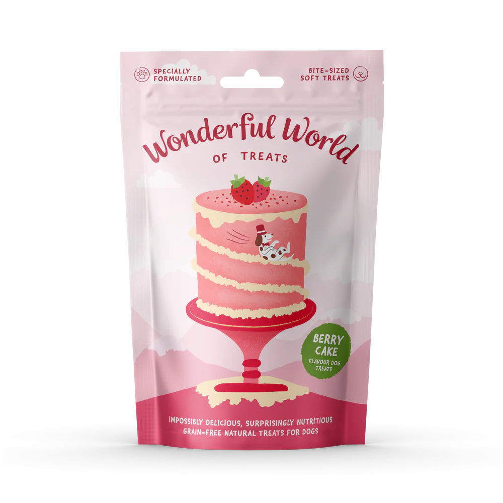 Wonderful World of Treats - Berry Cake - 50g