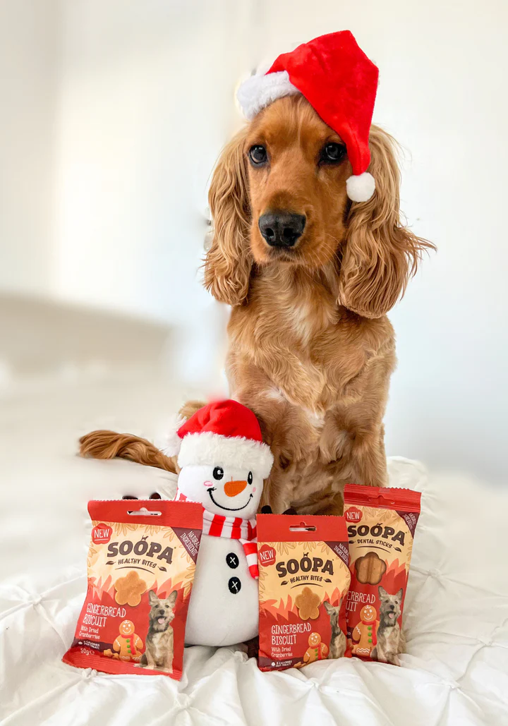 Soopa Gingerbread Biscuit Dental Sticks - Image 4