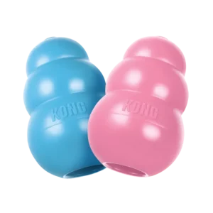 KONG Puppy