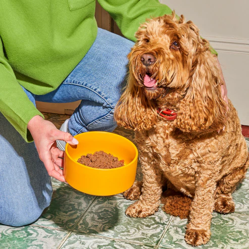 Nutriment Gently Steamed Puppy Turkey - 395g - Image 4