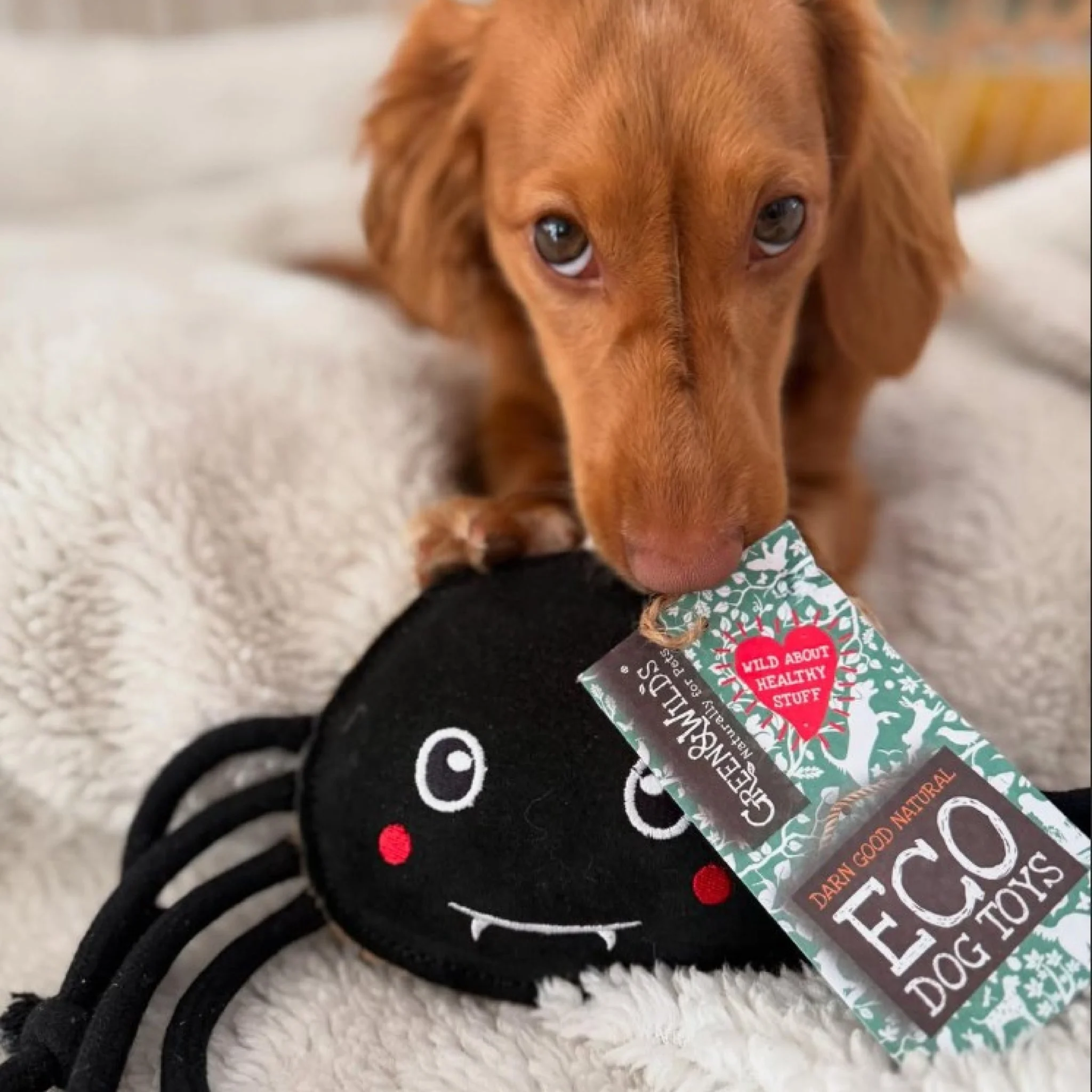 Green & Wilds Fangus Eco Dog Toy - Image 7