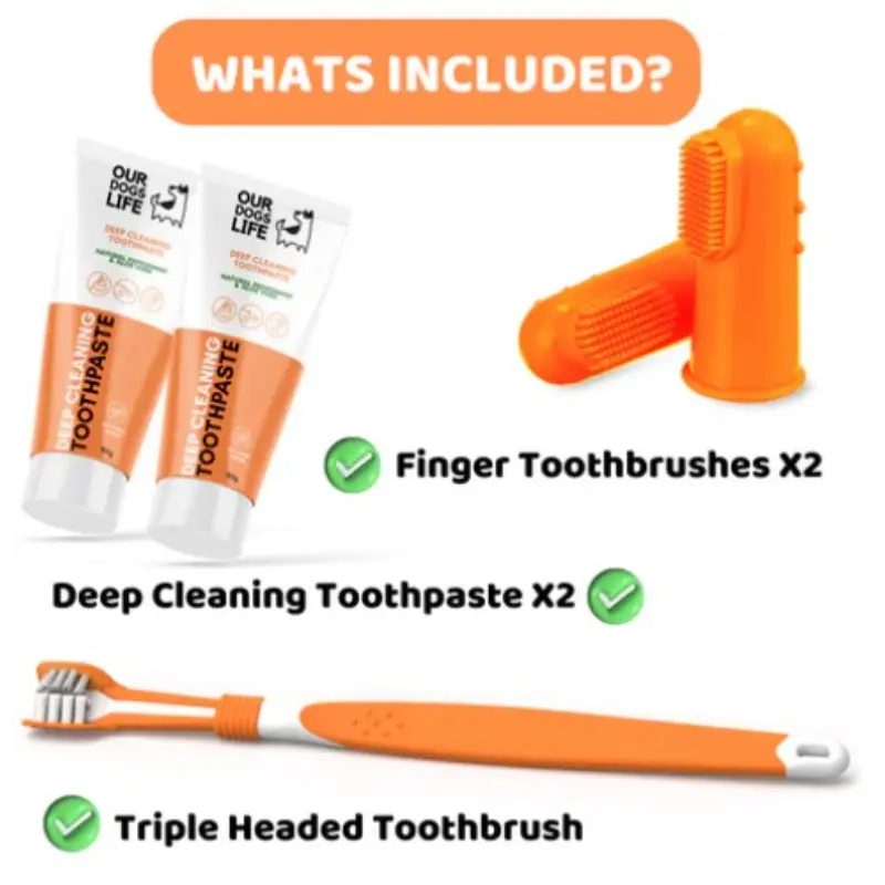 Our Dogs Life Dog Toothpaste and Toothbrush Set - Image 2