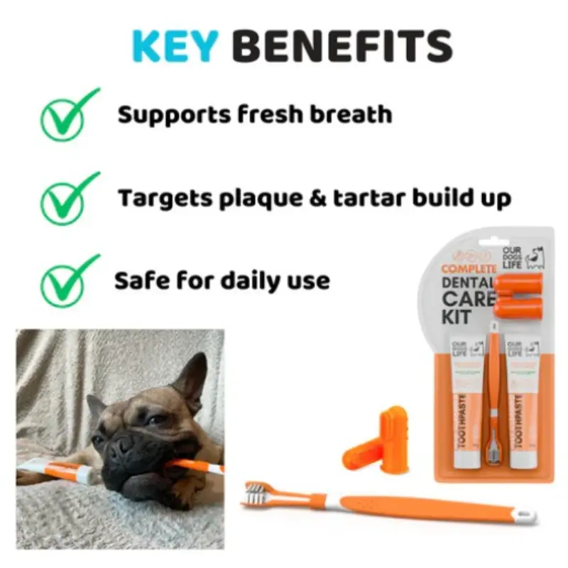 Our Dogs Life Dog Toothpaste and Toothbrush Set - Image 3
