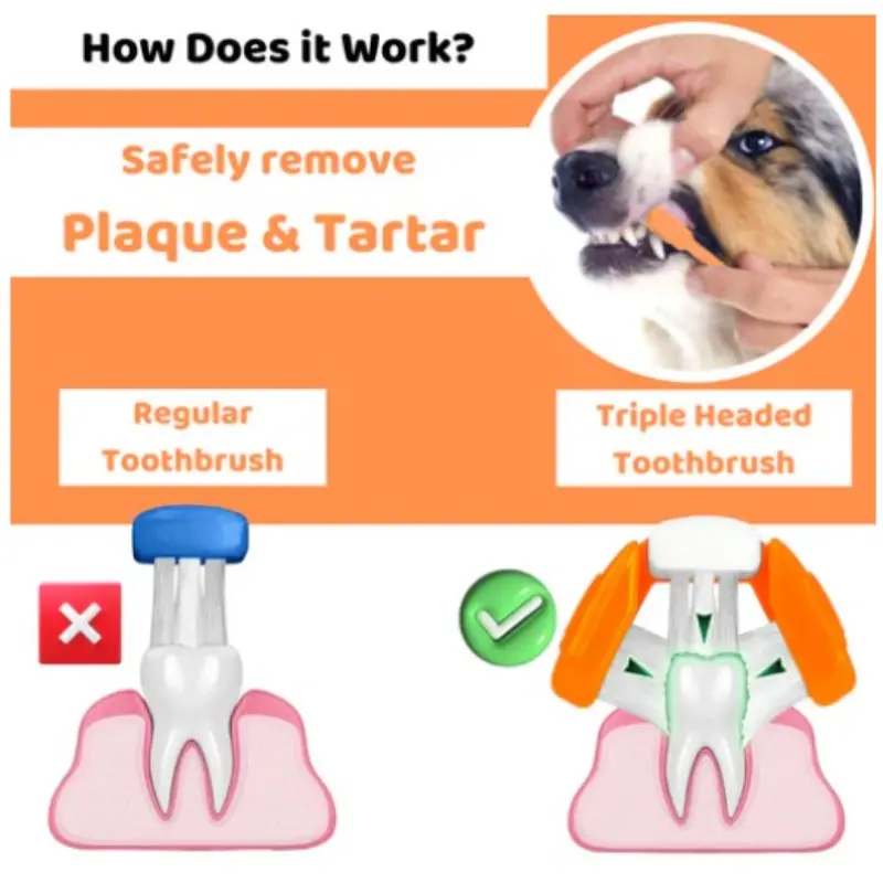 Our Dogs Life Dog Toothpaste and Toothbrush Set - Image 4