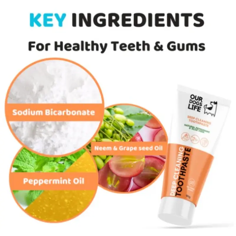 Our Dogs Life Dog Toothpaste and Toothbrush Set - Image 7
