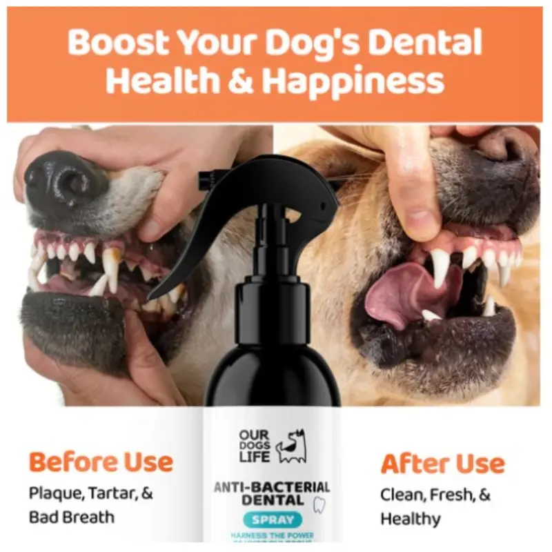 Our Dogs Life Dog Dental Spray - 250ml - Image 5