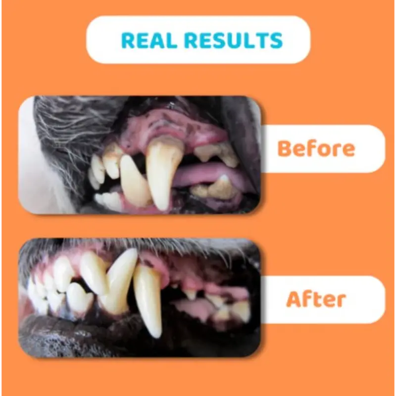 Our Dogs Life Dog Teeth Cleaning Wipes - Image 3